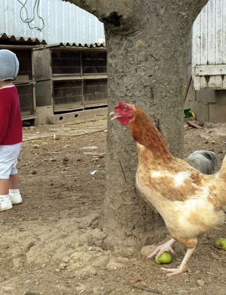 Rencontre-projection par le photographe Philippe Bazin à Bibracte