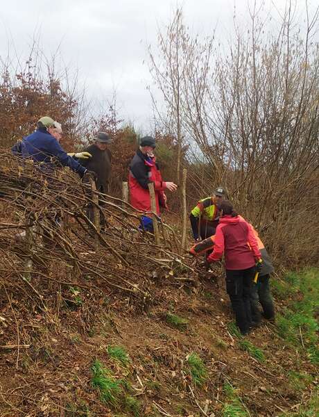 Le Mois de la Plèchie - Roussillon-en-Morvan