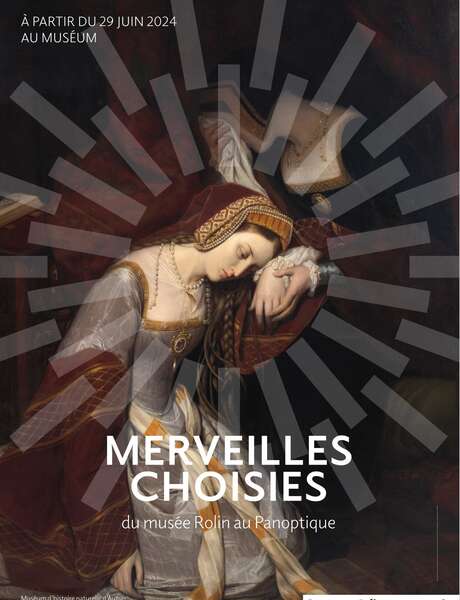 Merveilles choisies : du musée Rolin au Panoptique (exposition temporaire)