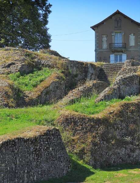 Balade nature et patrimoine : sauvages de ma rue (Journées Européennes du Patrimoine)