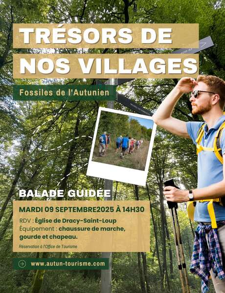 Trésors de nos villages - Fossiles de l'Autunien