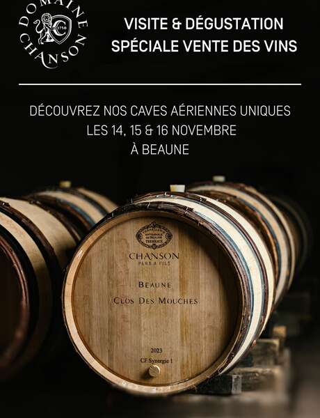 Domaine Chanson - Visite des caves & dégustation spéciale Vente des Vins 2025 de 6 grands vins
