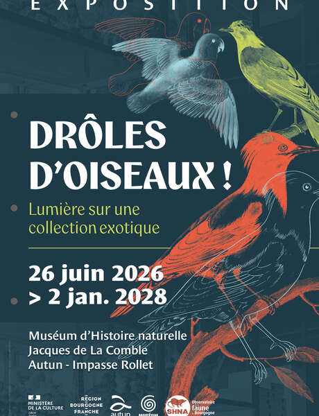 Exposition "Drôles d'oiseaux : lumière sur une collection exotique"