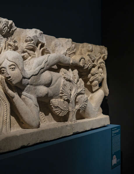 Visite guidée de l'exposition "Merveilles Choisies"