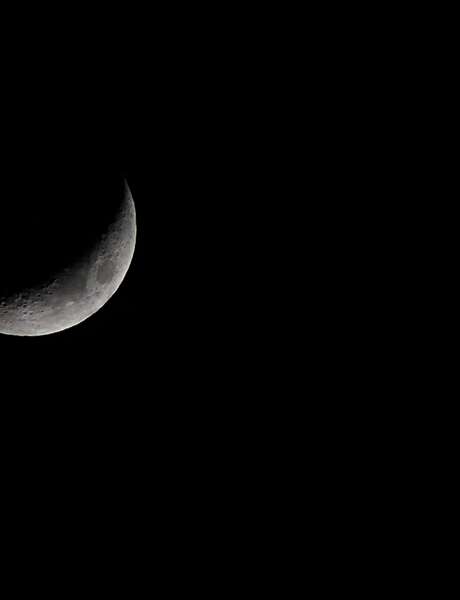 Spéciale Halloween - à la découverte des mal-aimés