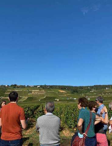 Dégustation et visite des climats du vignoble de Beaune