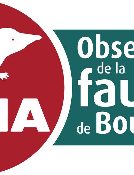 À la découverte de la bibliothèque de la SHNA - Journées Européennes du Patrimoine