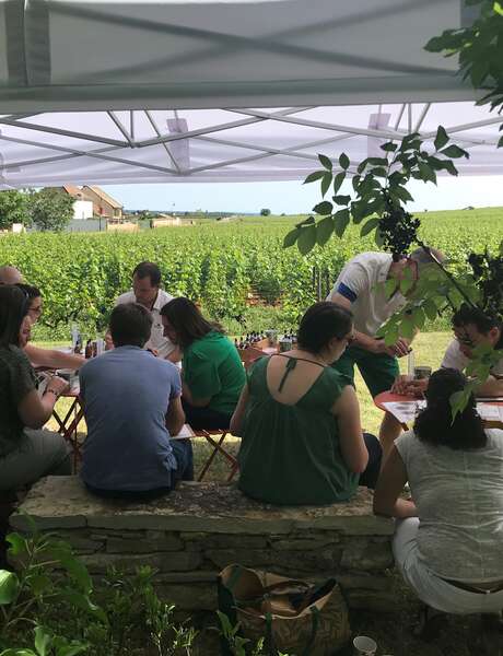 Le parfum d'un vin de Meursault