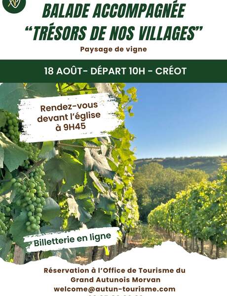Trésors de nos villages - Paysage de vigne