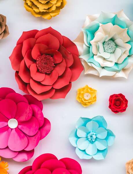 Botaniste en herbe - Atelier pour les 4-6 ans.