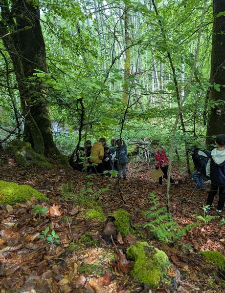 La balade des Grumelots