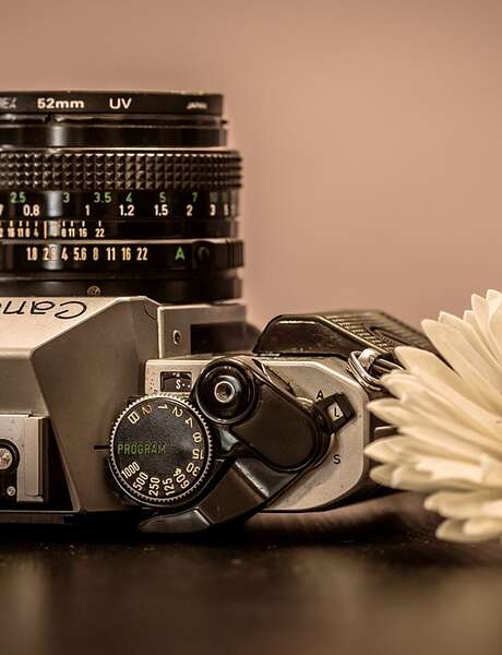 Labo photo végétal - Atelier 4-6 ans