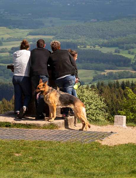 Toutou't'à pied : une balade qui a du chien à Bibracte !