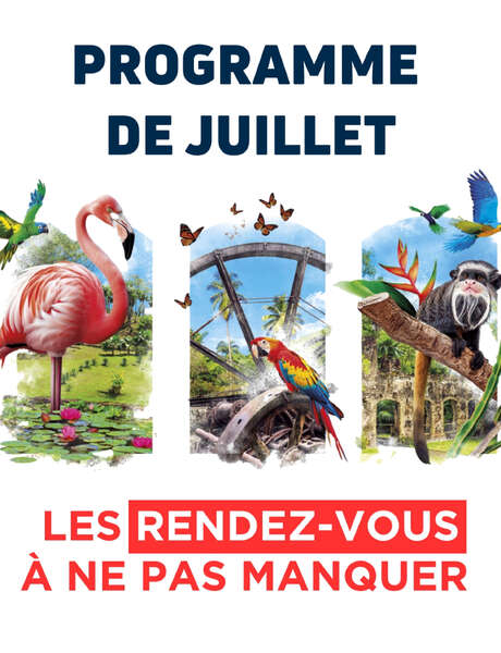Programme de Juillet (Zoo de Martinique)