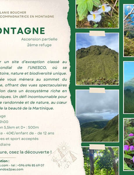 Randonnée La Montagne Pelée - Ascension partielle (Rando A2Pas)