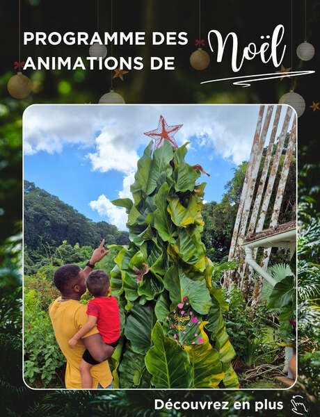 Programme de Décembre (Le jardin de Balata)