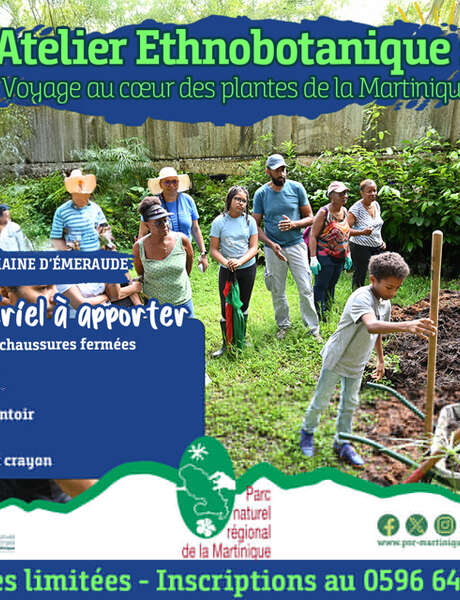Atelier Ethnobotanique (Domaine de l'Emeraude)