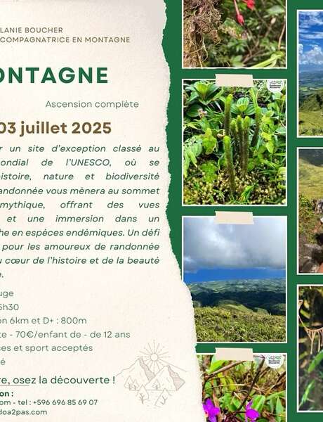 Randonnée La Montagne Pelée - Ascension complète (Rando A2Pas)