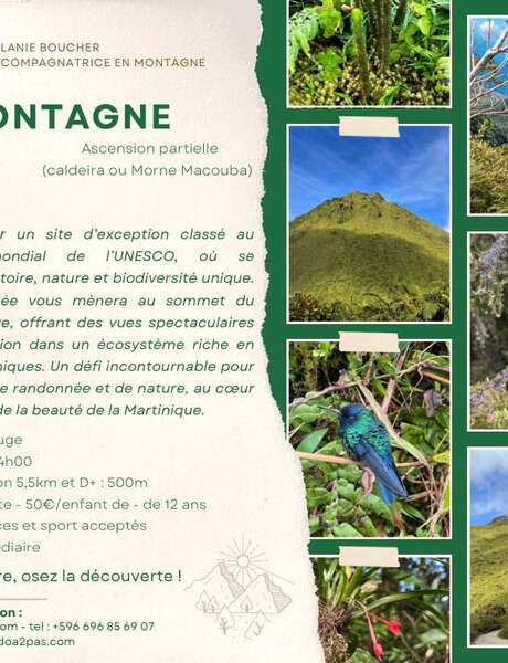 Randonnée La Montagne Pelée - Ascension partielle (Rando A2Pas)