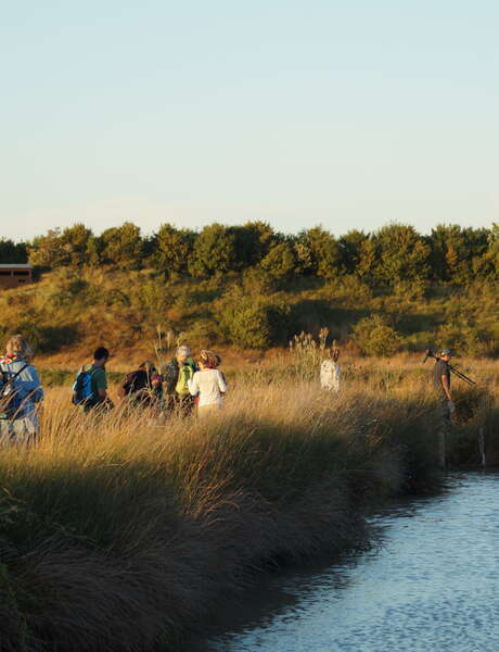 Sortie crépusculaire