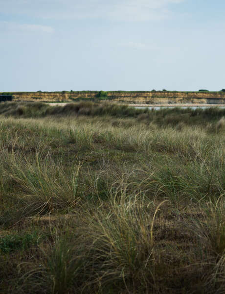 Guided tour: The 4 seasons of the Marais d'Yves nature reserve