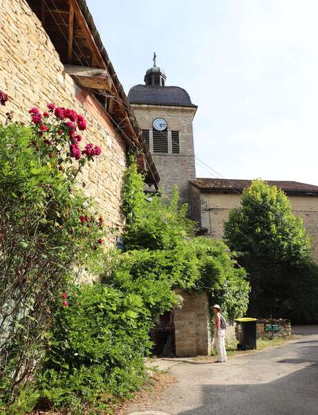 Balade découverte, Journans village de vignerons