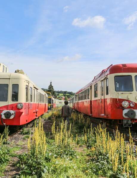 Nuit européenne des musées - Train touristique du Haut-Forez