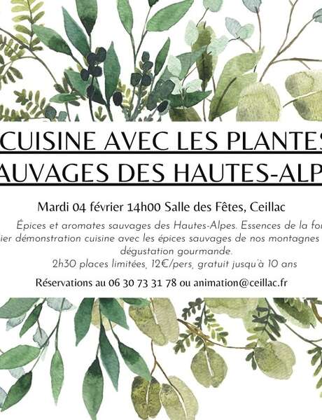 Atelier cuisine des plantes sauvages