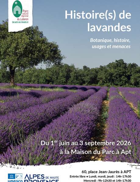 Exposition " Histoire(s) de lavandes "
