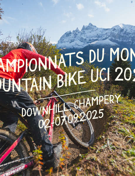 2025 UCI MTB Downhill World Championships