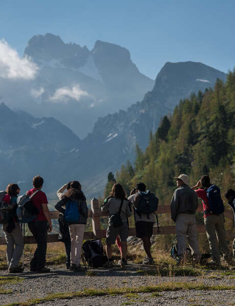 Park exit - The Ristolas Mont Viso reserve at dawn