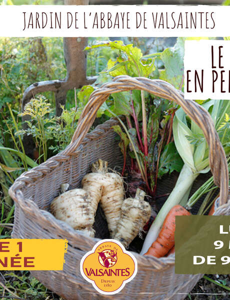 Stage : Le potager en permaculture
