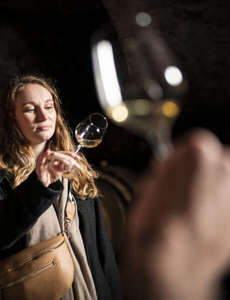 Culture et Vins au Domaine De Boisseyt