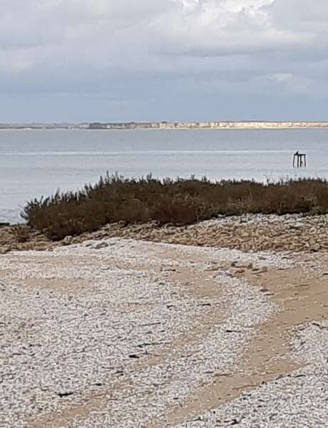 La baie d'Yves au fil des Temps - Les Temps modernes