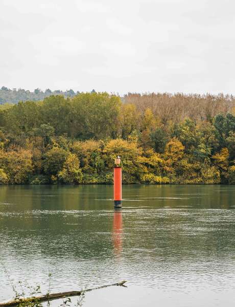 Balades découverte du patrimoine naturel de l'île du Beurre