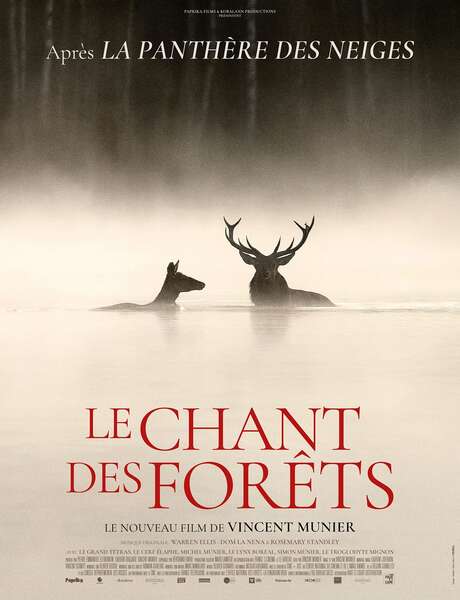 Le chant des forêts