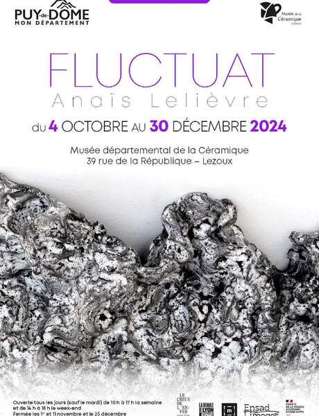 Exposition d'Anaïs Lelièvre "Fluctuat"