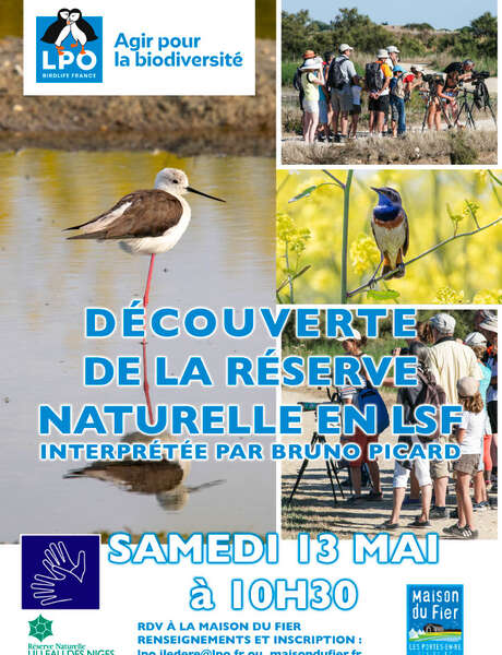 Oiseaux et Nature de la réserve en LSF