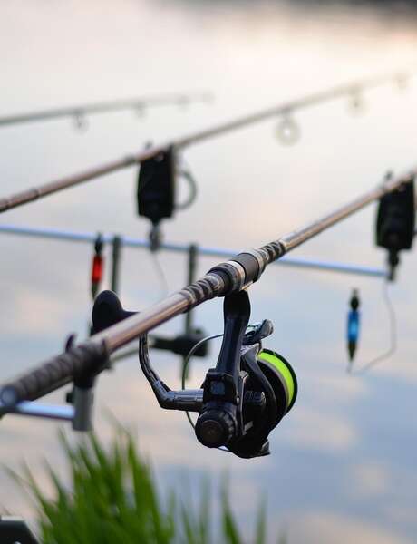 Concours de pêche au zig
