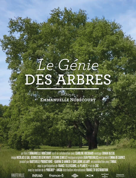 Le génie des arbres : projection - Mois du film documentaire