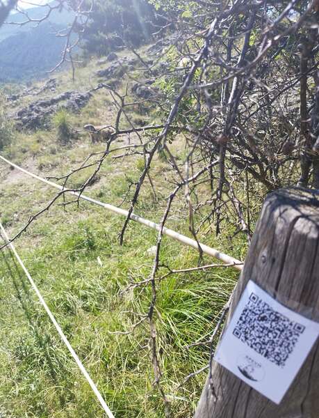 Jeu A la découverte des marmottes