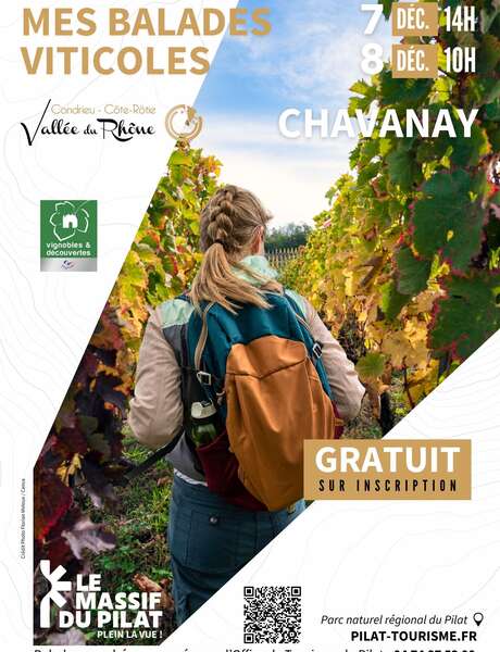 Balade découverte des vignobles de Chavanay