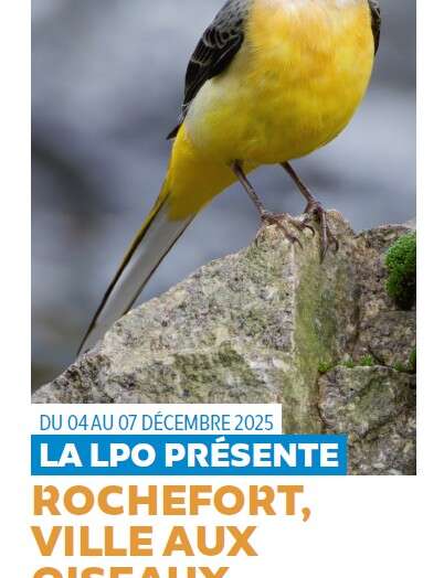 Rochefort, ville aux oiseaux