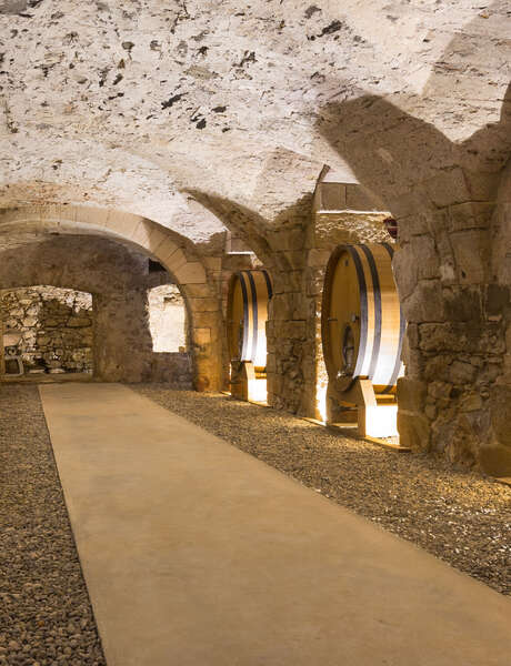 Guided tour : From the vine to the wine tasting at the monastic castle of Bormettes