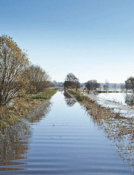 Spiele und Experimente zum Thema Wasser und Feuchtgebiete