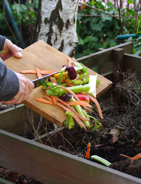 Plongée dans le compost