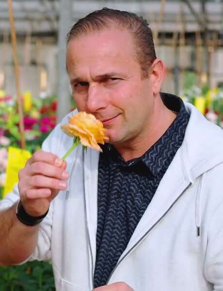 Les expérimentations de variétés de roses sans arrosage, ni taille par Matthias Meilland