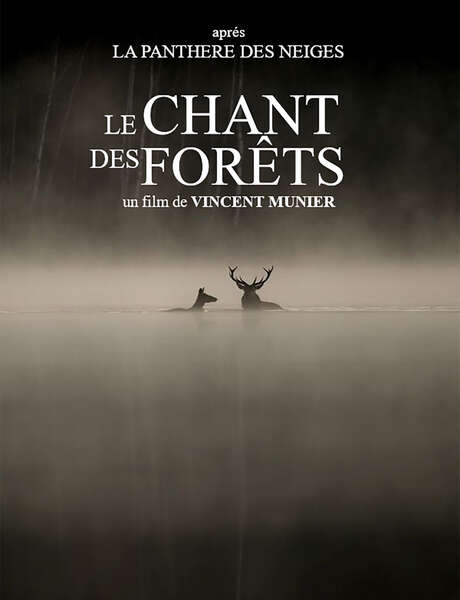 Le chant des forêts