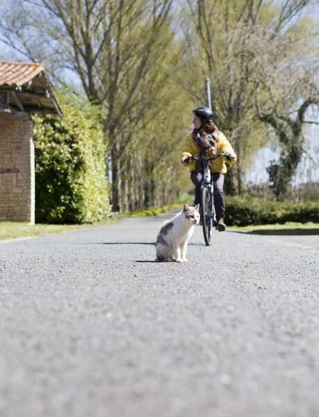 Mai à vélo à la médiathèque