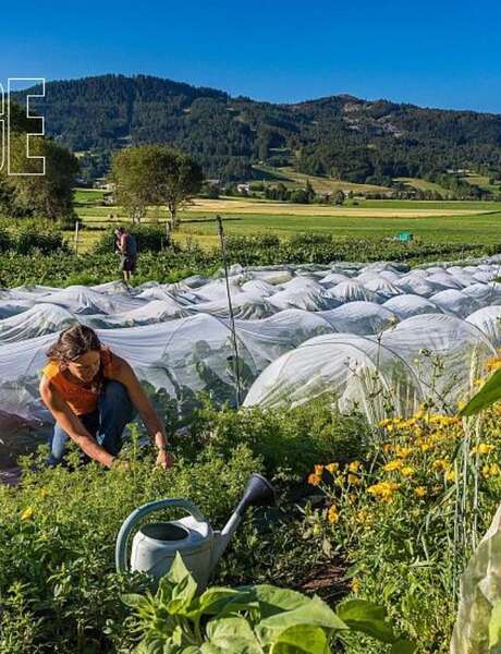 Festival de l'Alpage : Visite de la ferme LéguMontagne